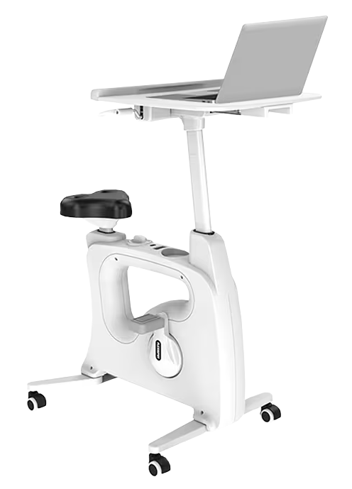 Desk Bike from Flexispot that I use nearly everyday